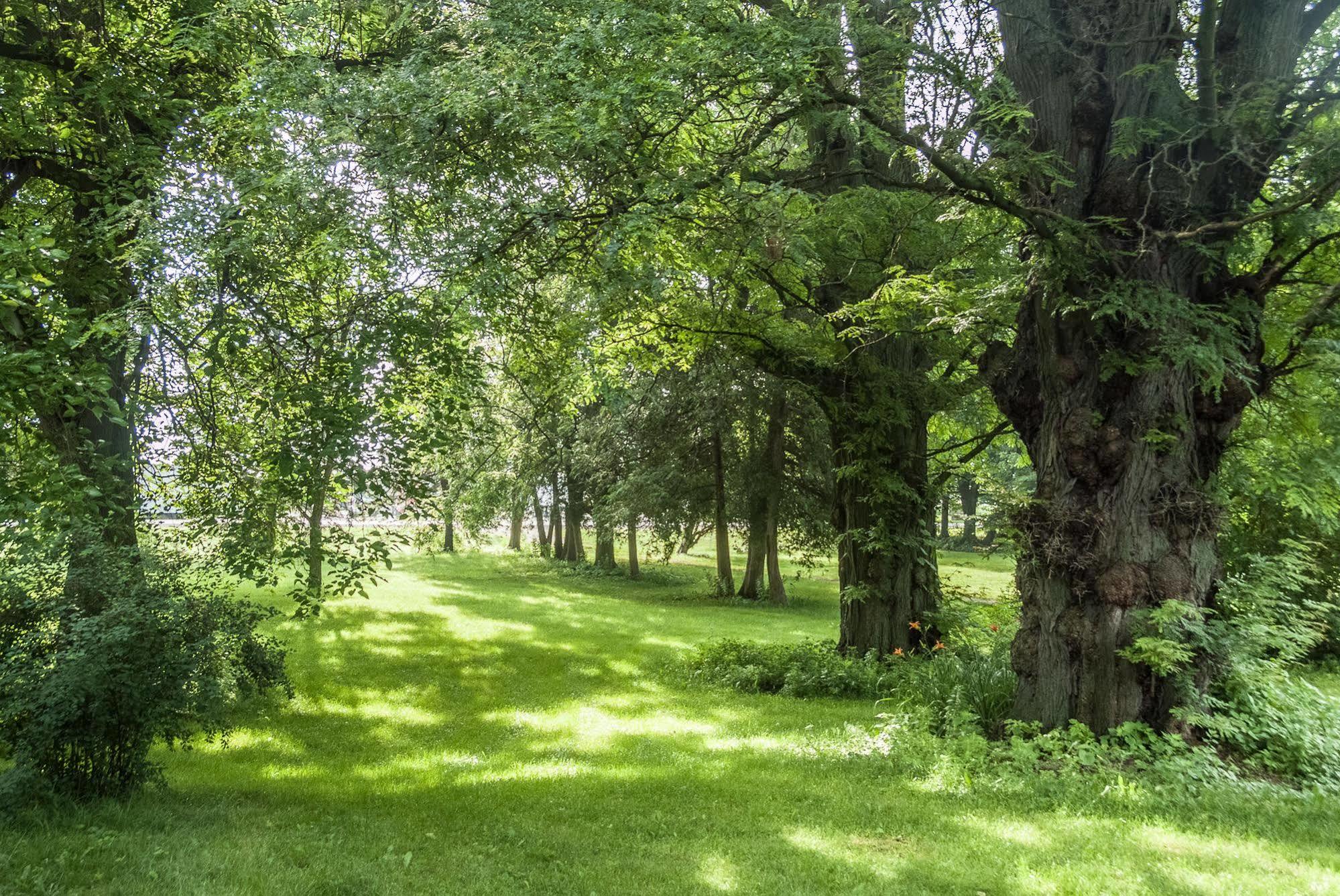 Culverdene House Simcoe Bagian luar foto