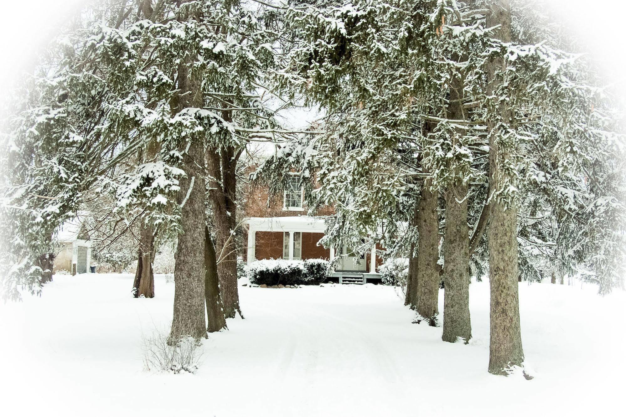 Culverdene House Simcoe Bagian luar foto